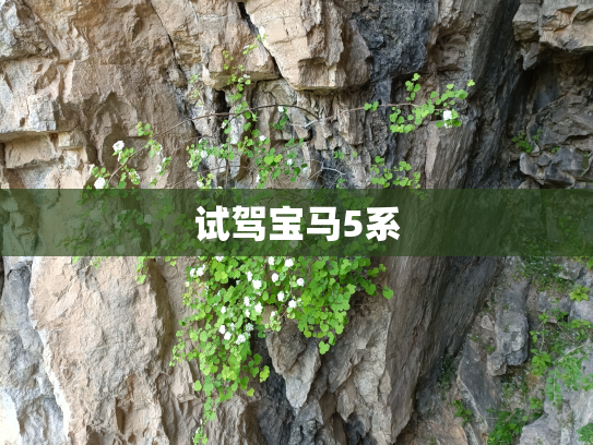 试驾宝马5系