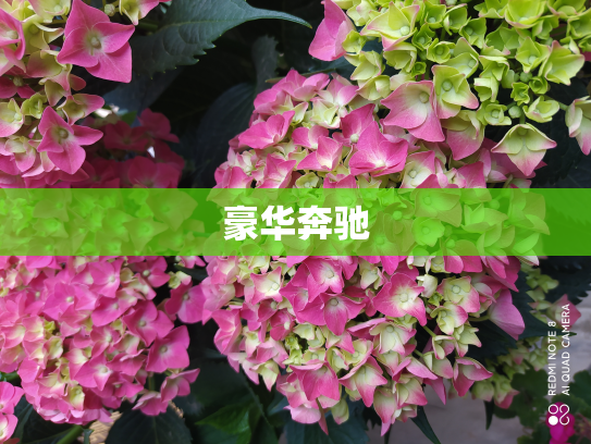 豪华奔驰
