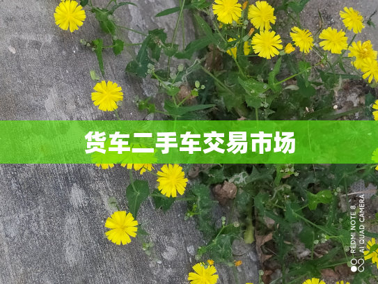 货车二手车交易市场