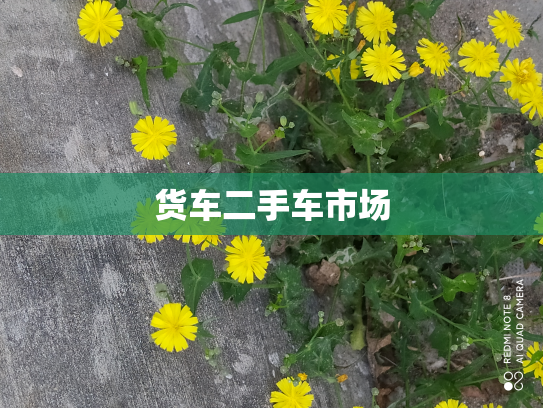 货车二手车市场