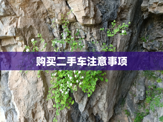 购买二手车注意事项