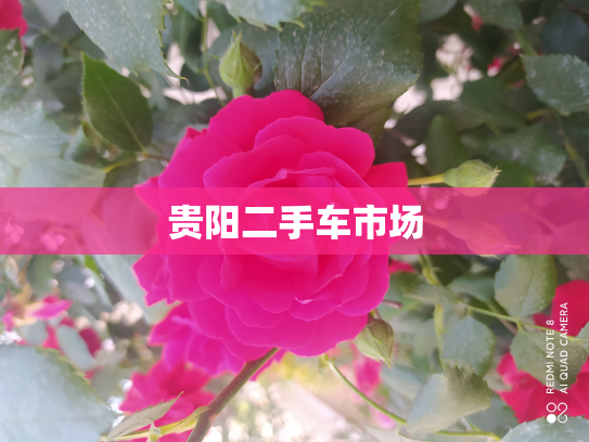 贵阳二手车市场