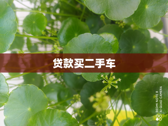 贷款买二手车