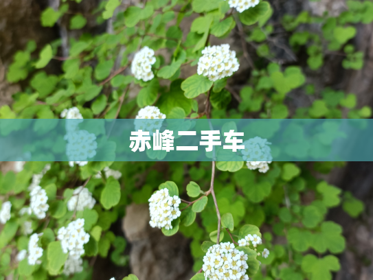 赤峰二手车
