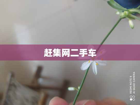 赶集网二手车