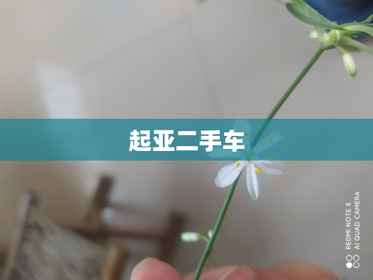 起亚二手车
