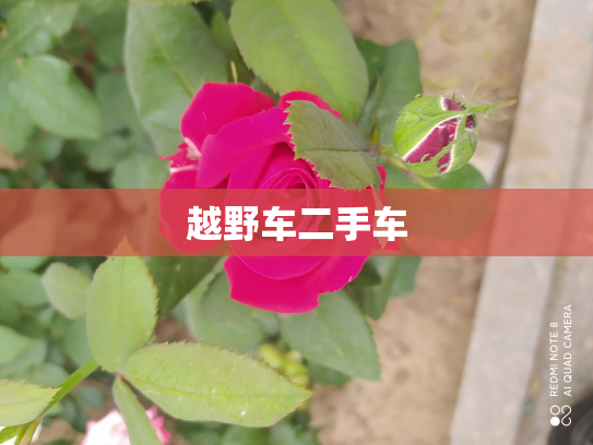 越野车二手车