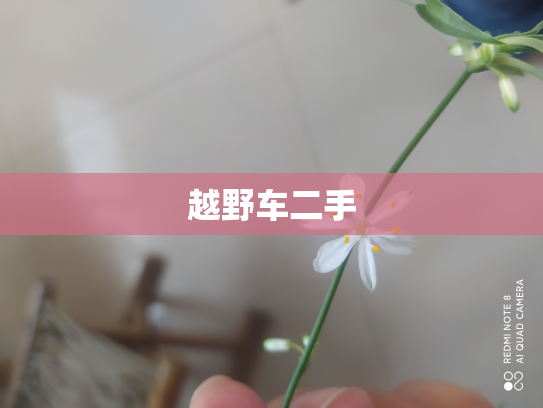 越野车二手