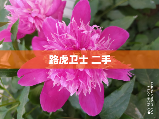 路虎卫士 二手