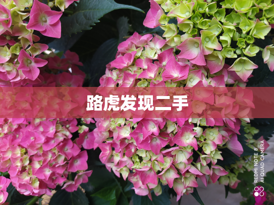 路虎发现二手