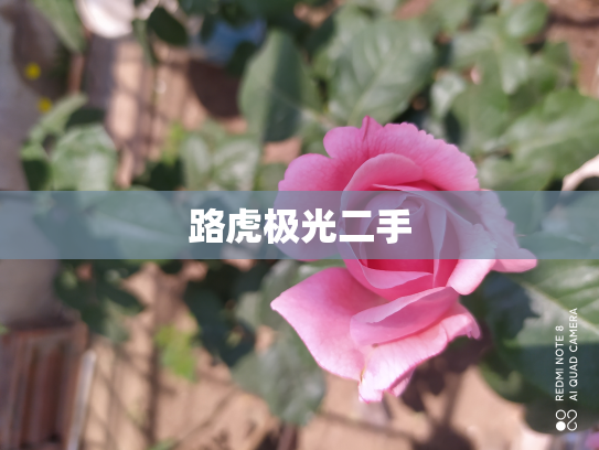 路虎极光二手