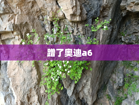 蹭了奥迪a6