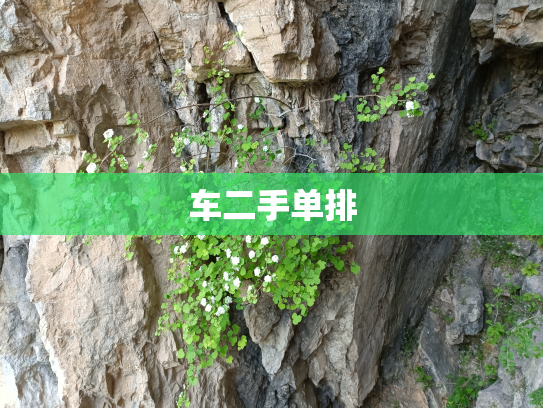 车二手单排
