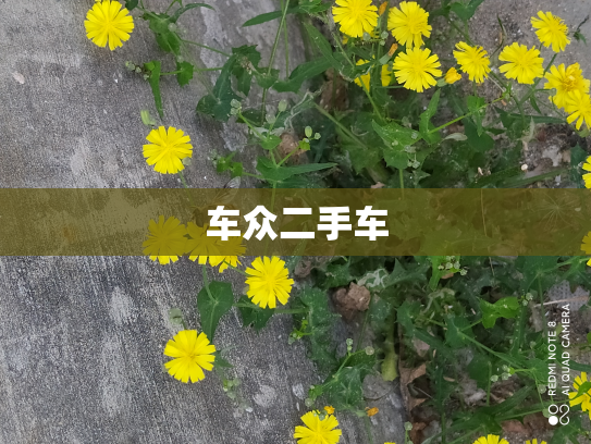 车众二手车