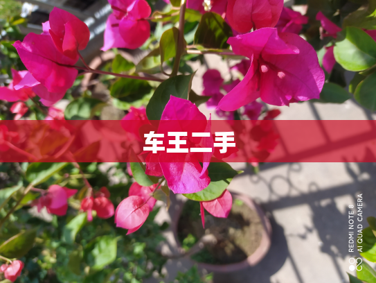 车王二手