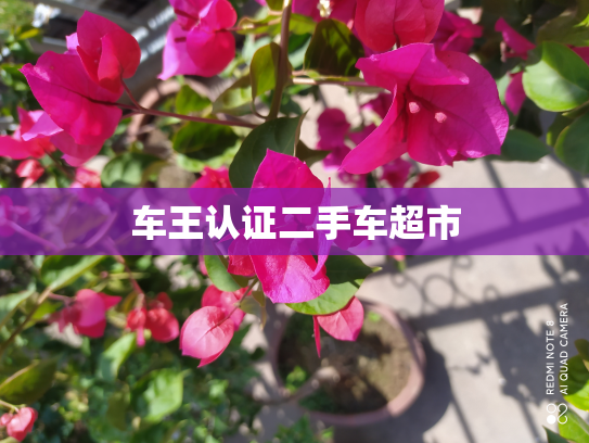 车王认证二手车超市