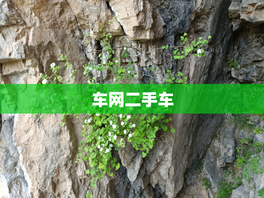 车网二手车