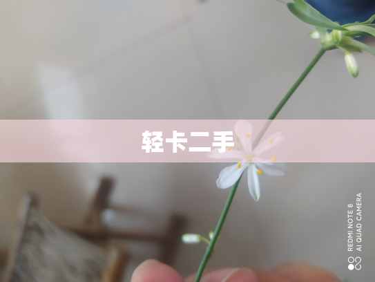 轻卡二手