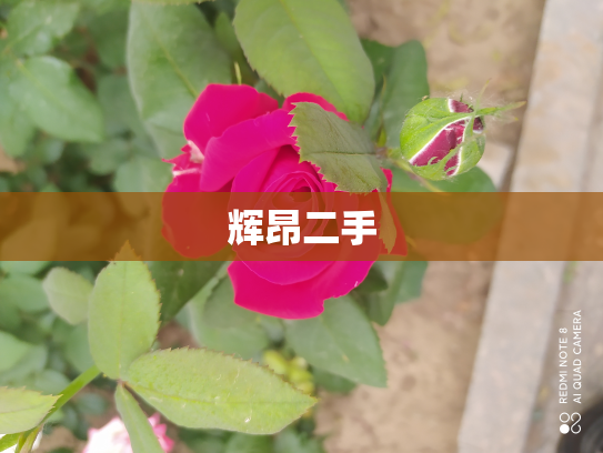 辉昂二手