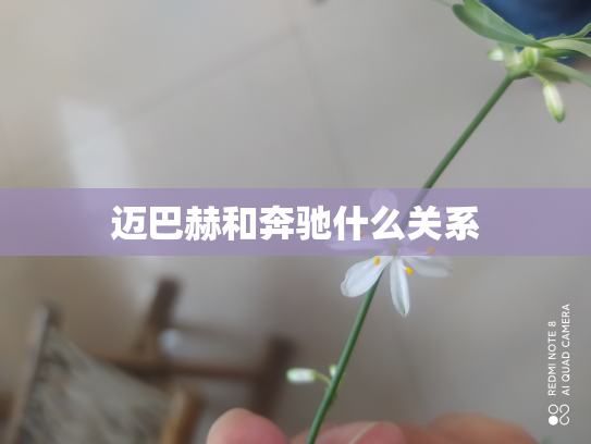 迈巴赫和奔驰什么关系