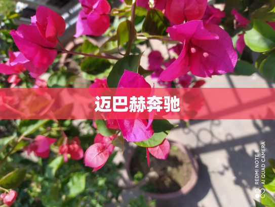 迈巴赫奔驰