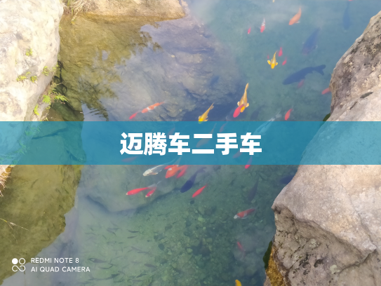 迈腾车二手车