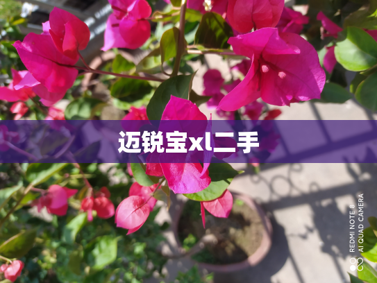 迈锐宝xl二手