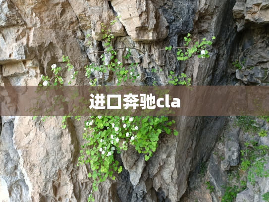 进口奔驰cla