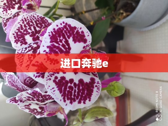 进口奔驰e