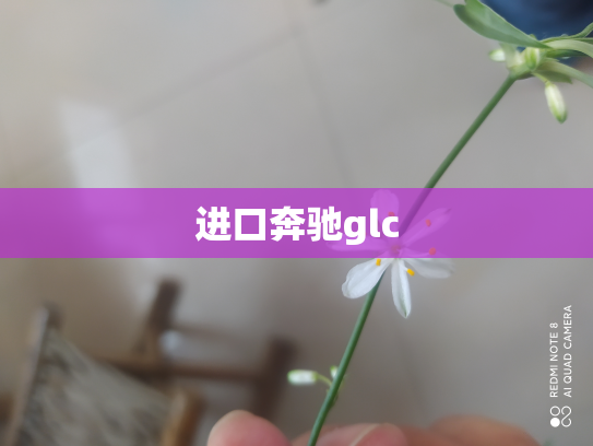 进口奔驰glc