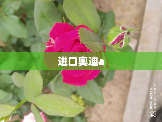 进口奥迪a