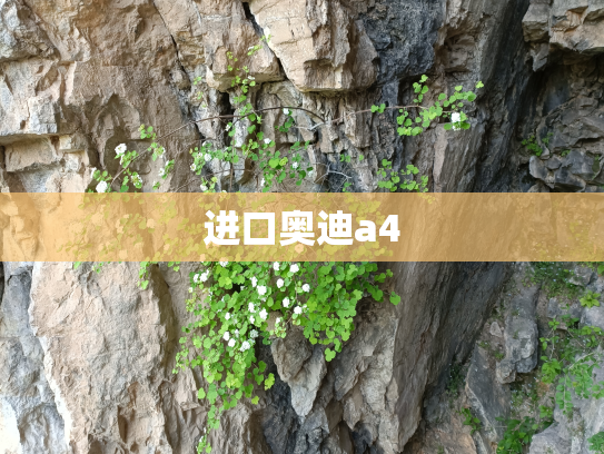 进口奥迪a4