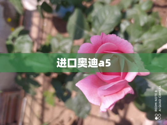 进口奥迪a5