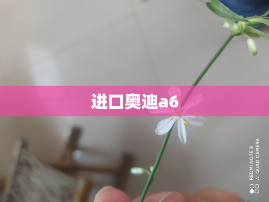 进口奥迪a6