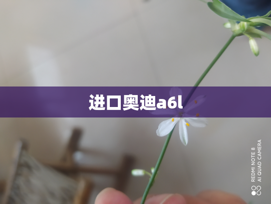 进口奥迪a6l