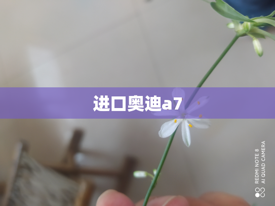 进口奥迪a7