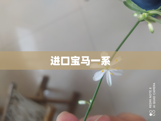 进口宝马一系
