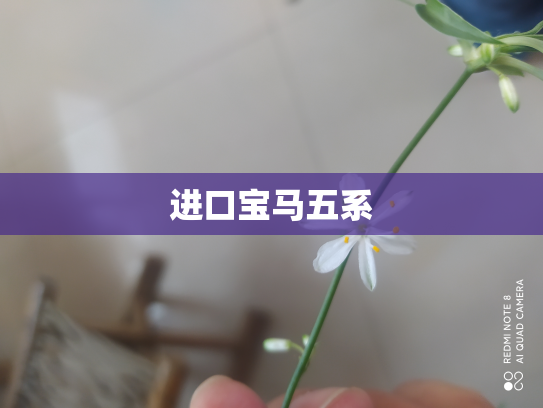 进口宝马五系