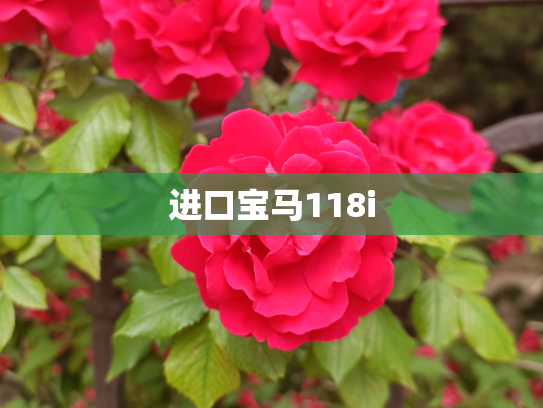 进口宝马118i