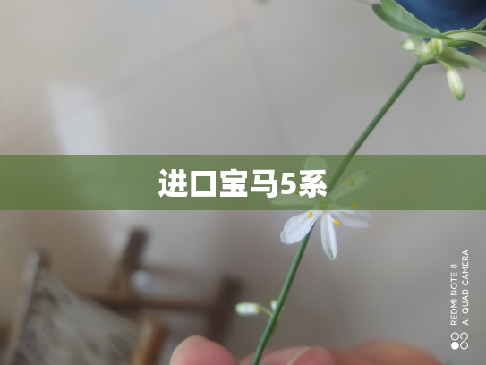 进口宝马5系
