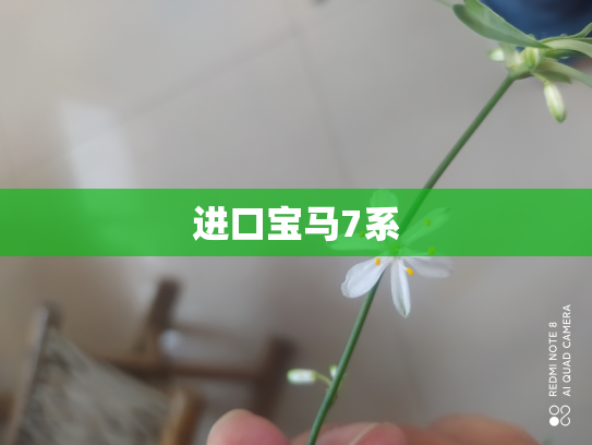 进口宝马7系