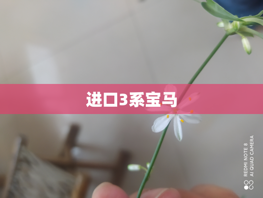 进口3系宝马