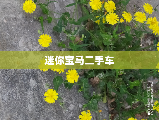 迷你宝马二手车