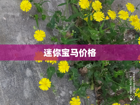 迷你宝马价格