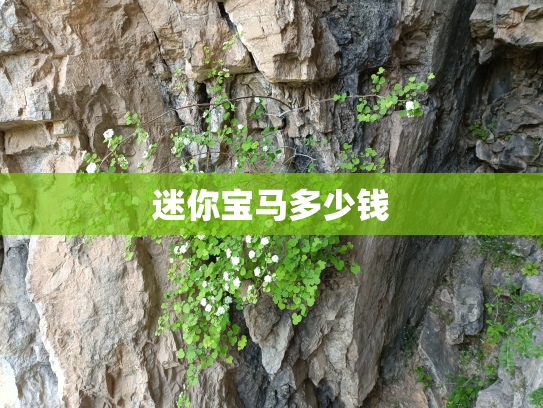 迷你宝马多少钱