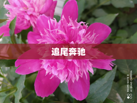 追尾奔驰