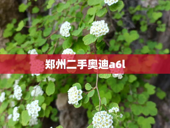 郑州二手奥迪a6l