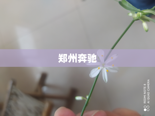 郑州奔驰