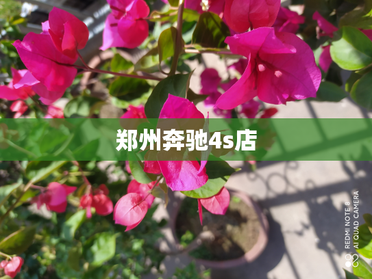 郑州奔驰4s店