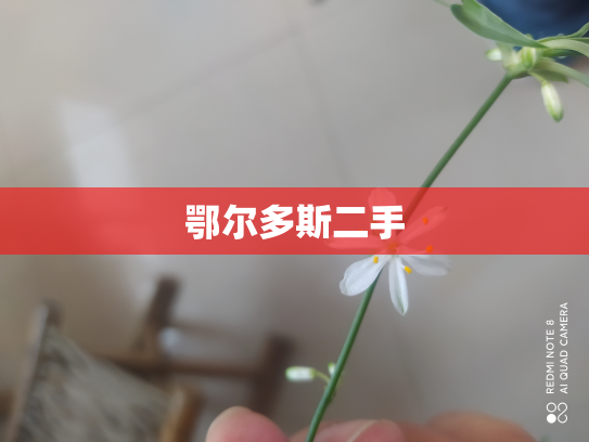 鄂尔多斯二手